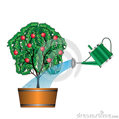 Watering with a watering can of fruit tree on white background Vector Illustration