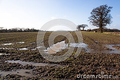 Waterlogged And Muddy Field Stock Photo