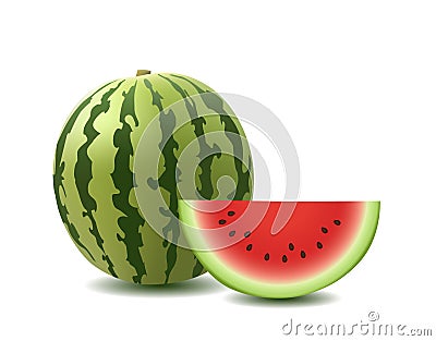 Watermelon Vector Illustration