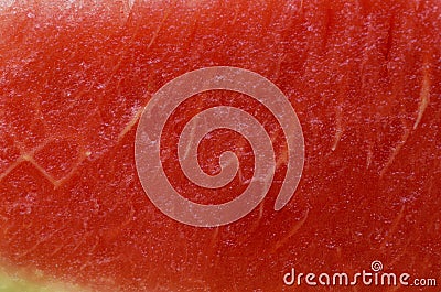Watermelon abstract macro backgounds and textures Stock Photo