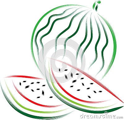 Watermelon Vector Illustration