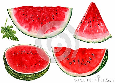 Watermelon, cut into pieces, on a white background. Watercolor Stock Photo