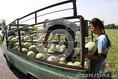 Watermelon Editorial Stock Photo