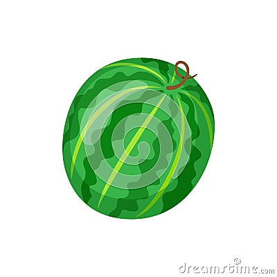 Watermelon Fruit Rounded Shape, Juicy Berry Vector Illustration