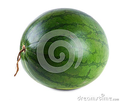 Watermelon Stock Photo