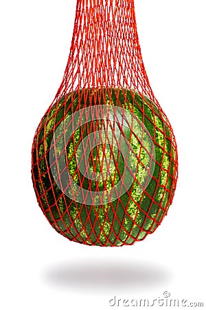 Watermelon hanging in the net isolated on white background Stock Photo