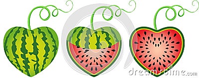 Watermelon heart shaped Vector Illustration