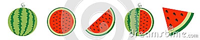 Watermelon icon set line. Whole ripe green stem. Slice cut half seeds. Triangle. Green Red round fruit berry flesh peel. Healthy Vector Illustration