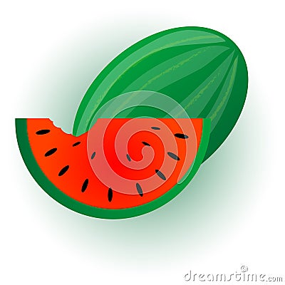 Watermelon illustration. Cartoon Illustration
