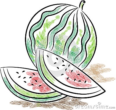 Watermelon Vector Illustration