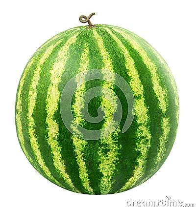 Watermelon Stock Photo