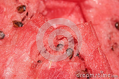 Watermelon Stock Photo