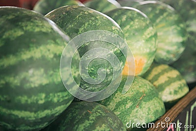 Watermelon in a local farm in south florida Stock Photo