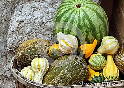 Watermelon, melons and different small squashes Stock Photo