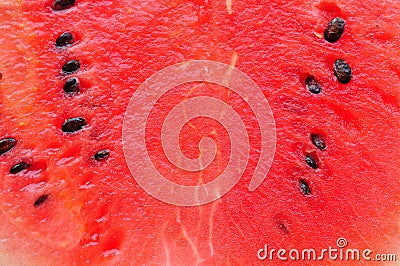 Watermelon Stock Photo