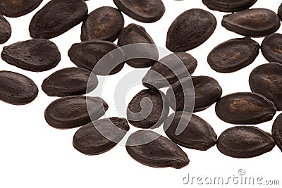 Watermelon Seeds Stock Photo