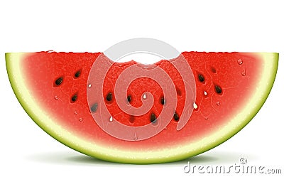 Watermelon slice bite Vector Illustration