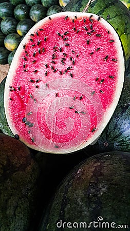 Watermelon slice with flies and bee Stock Photo