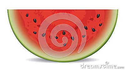 vector watermelon slice Vector Illustration