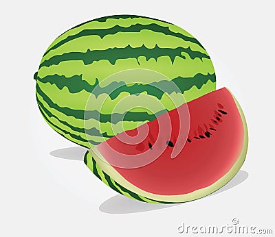 Watermelon vector Vector Illustration