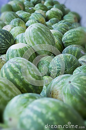 Watermelons Stock Photo