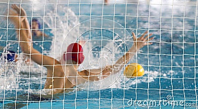 Waterpolo Action Stock Photo