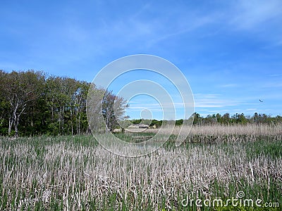 Waterway through forest with historic fort Battery Steele in distance Stock Photo