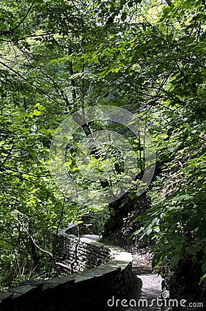 Watkins Glen State Park Stock Photo