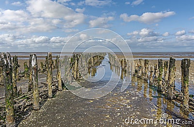 Wattenmeer National Park,North Sea,North Frisia,Germany Stock Photo