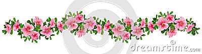 Wave arrangement of petunia flowers Stock Photo