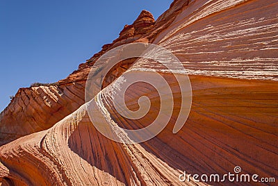 The Wave - Close up of sandstone fin formation Stock Photo