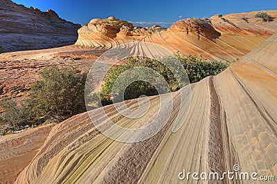 The Wave, Coyote Buttes Stock Photo