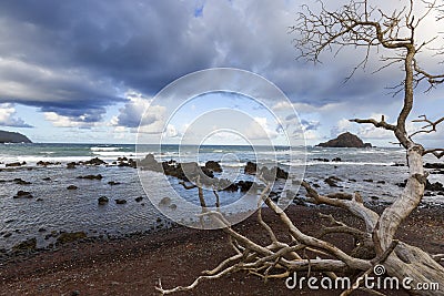 A wave crashes into the rocky shoreline of Hawaii Stock Photo