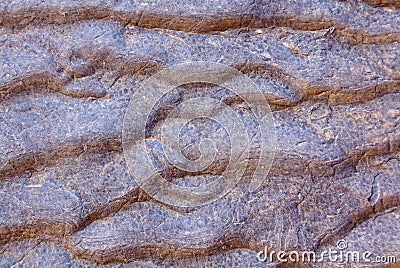 Wave Rock - Bunyeroo Gorge Stock Photo