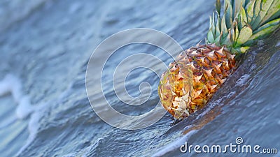 New Stock Video Footage, Video Clips & Stock Animation by Dreamstime