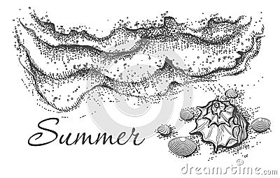 Wave shell sketch Vector Illustration