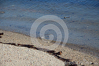 Wavelet on the beach Stock Photo