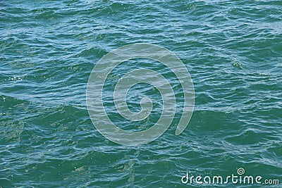 Wavelet on the sea Stock Photo