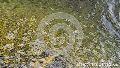 Wavelets on the sea surface 3 Stock Photo