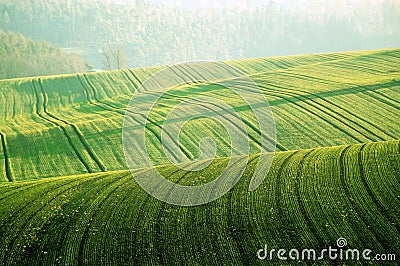 Waves of the earth. Stock Photo