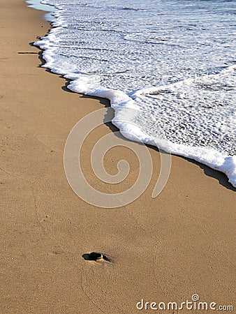 Waves lapping against sand on the California coast. Sea foam and sandy beaches in summer sunlight for travel blogs, website banner Stock Photo