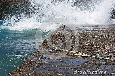 Waves slamming into the rocky coast line in Folegandros Stock Photo