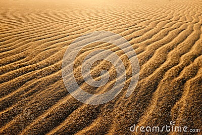 Waves of undulated sand dunes at sunset. Stock Photo