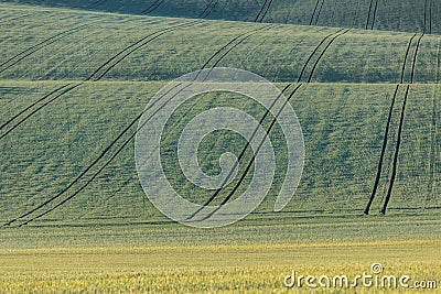 Wavy fairytale landscape . Stock Photo