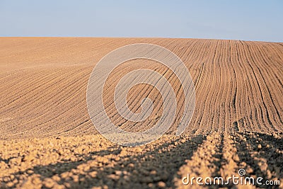 Wavy ground cultivated field, agriculture. Agriculture field. Plowed farm land Stock Photo