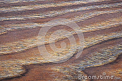 Wavy natural pattern on a flat surface of dark wood Stock Photo