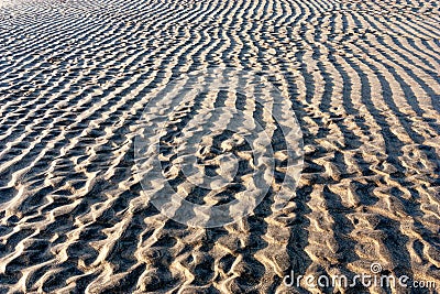 Wavy sand tide lines on beach, background, texture Stock Photo