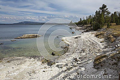 Wavy shoreline of Yellowstone Lake, with white limy beach, Wyoming. Stock Photo