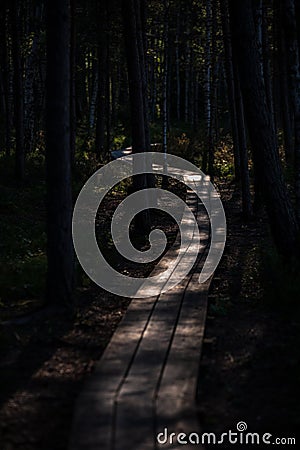 wavy wooden foothpath in swamp forest tourist trail Stock Photo