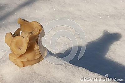 A wax angelic face set in snow has a sad appearance as new snow appears outside. Text space. Stock Photo